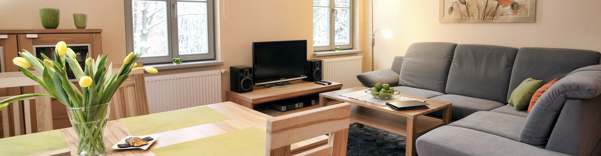 Zu sehen ist ein Wohnzimmer der Ferienwohnungen „Am Grünen Quell“ mit einem grauen Sofa und einem holzfarbenen TV-Tisch mit Fernseher. Auf dem Esstisch stehen Tulpen und auf dem Sofatisch steht eine Schale mit grünen Äpfeln.