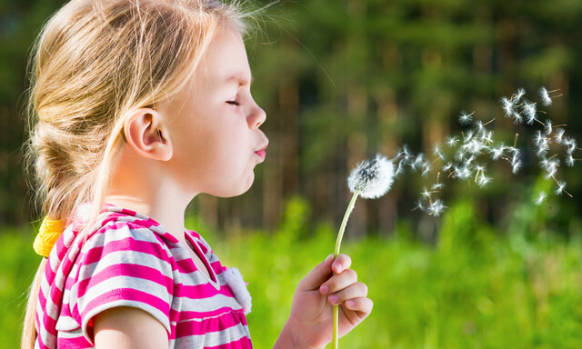 Der Kopf eines kleinen blonden Mädchens mit einem geflochtenen Zopf und einem weiß-pink gestreiften Oberteil ist seitlich zu sehen. Das Kind hat die Augen geschlossen. Sie pustet eine Pusteblume, und die Samenstände fliegen davon. Der Hintergrund ist grün und verschwommen.