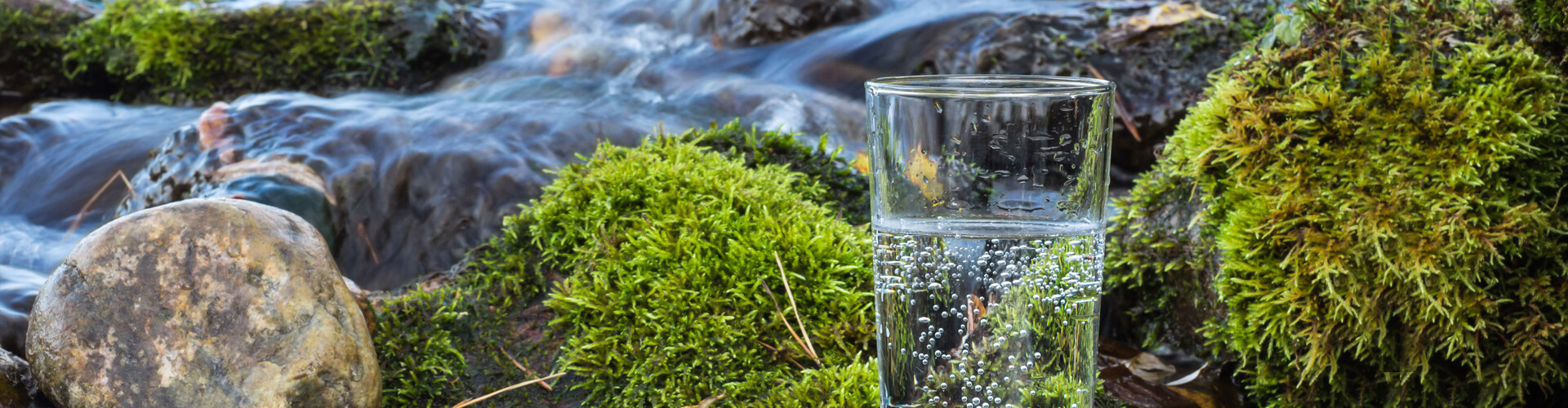 Ein Glas Trinkwasser, dass an einem Fluss steht. Es ist umgebenen von Moos und Gestein.